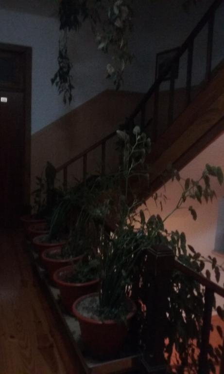 Pensao Avenida Hotel Penacova Ngoại thất bức ảnh